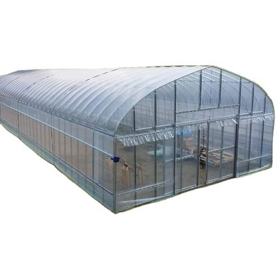 2.5-5M Höhe Tomate Hydroponischer Hochtunnel Landwirtschaft Gewächshaus mit Filmbedeckung