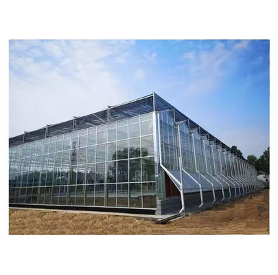 Große Venlo-Glasgewächshäuser Ideallösung für den Gemüseanbau Schlüsselfertiges Projekt