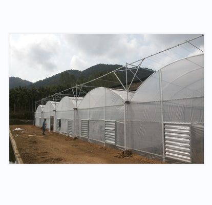 150/200 Mikroabdeckungs-PE-Multi-Span-Film-Gewächshaus für Tomatenanbau in der Landwirtschaft