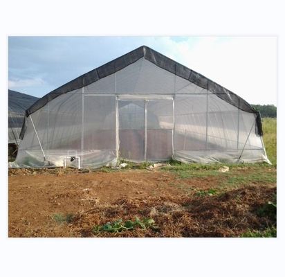 150/200 Mikrometer Film-Tunnel-Gewächshaus für den hydroponischen Tomatenanbau