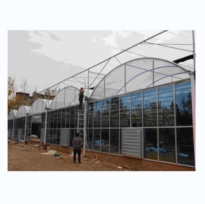 Hot Dip Galvanized Steel Tube Frame Multi Span Landwirtschaftliches Gewächshaus
