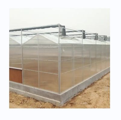 Super starke Widerstandsfähigkeit Polycarbonat Gewächshaus für die kommerzielle Landwirtschaft