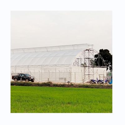 200-Mikron-UV-Schutz-PE-Film Ein-Tunnel-Gewächshaus für Tomaten- und Gurkenanbau