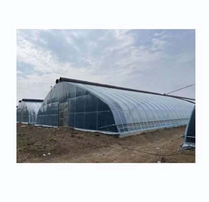 PE Einlagensolar-Tunnel Landwirtschaftliches Gewächshaus 4-6 Meter Höhe