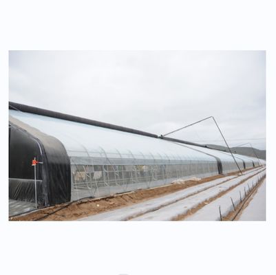 Steigerung des Winterpflanzenwachstums Einfachspann landwirtschaftliche Gewächshäuser Höhe 3,5-5M