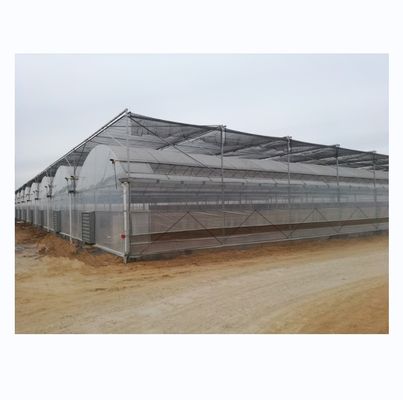 4.0-8.0M Höhe Landwirtschaft Mehrspannung Kunststofffolie Gewächshaus für Tomaten Schlüsselfertig Projekt