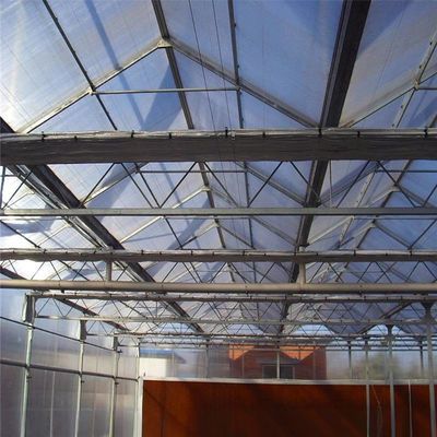 8m 9,6m 12m Spannbreite Landwirtschaft Gewächshaus für hybride Tomatensamen und Gemüse