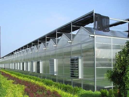 8m 9,6m 12m Spannbreite Landwirtschaft Gewächshaus für hybride Tomatensamen und Gemüse