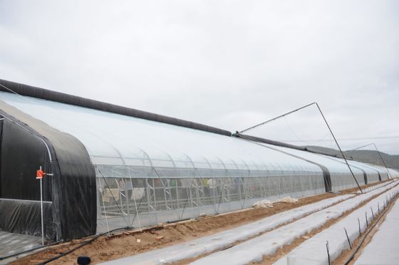 Steigerung des Winterpflanzenwachstums Einfachspann landwirtschaftliche Gewächshäuser Höhe 3,5-5M