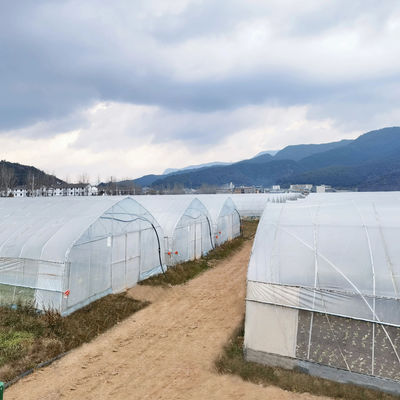2.5-5M Höhe Tomate Hydroponischer Hochtunnel Landwirtschaft Gewächshaus mit Filmbedeckung