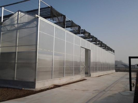 8m 9,6m 12m Spannbreite Landwirtschaft Gewächshaus für hybride Tomatensamen und Gemüse