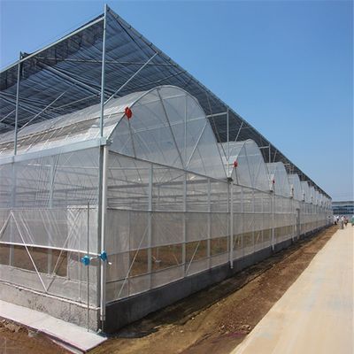 4.0-8.0M Höhe Landwirtschaft Mehrspannung Kunststofffolie Gewächshaus für Tomaten Schlüsselfertig Projekt