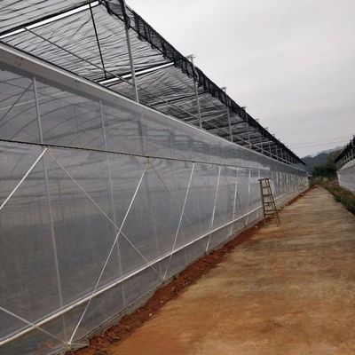 4.0-8.0M Höhe Landwirtschaft Mehrspannung Kunststofffolie Gewächshaus für Tomaten Schlüsselfertig Projekt