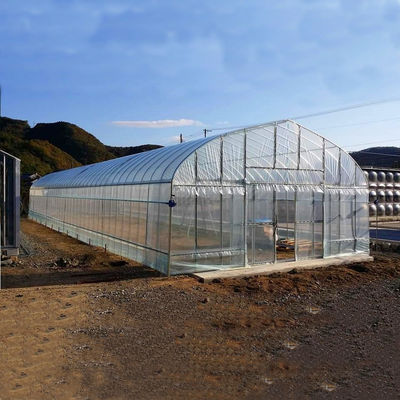 2.5-5M Höhe Tomate Hydroponischer Hochtunnel Landwirtschaft Gewächshaus mit Filmbedeckung