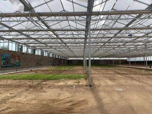 8m 9,6m 12m Spannbreite Landwirtschaft Gewächshaus für hybride Tomatensamen und Gemüse