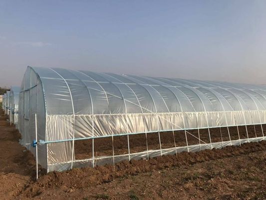 2.5-5M Höhe Tomate Hydroponischer Hochtunnel Landwirtschaft Gewächshaus mit Filmbedeckung