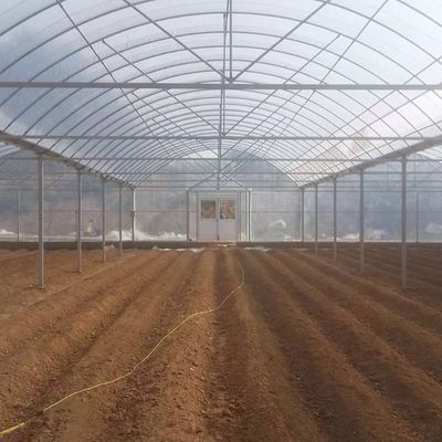 4.0-8.0M Höhe Landwirtschaft Mehrspannung Kunststofffolie Gewächshaus für Tomaten Schlüsselfertig Projekt