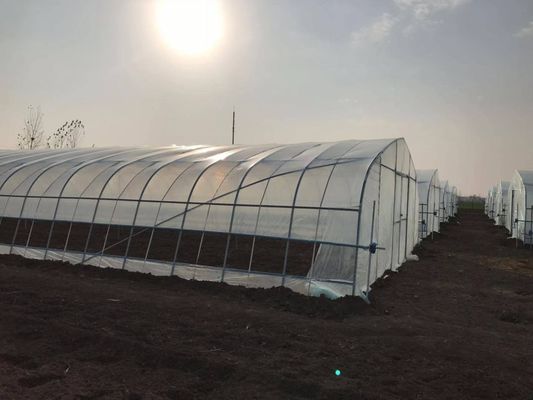 2.5-5M Höhe Tomate Hydroponischer Hochtunnel Landwirtschaft Gewächshaus mit Filmbedeckung