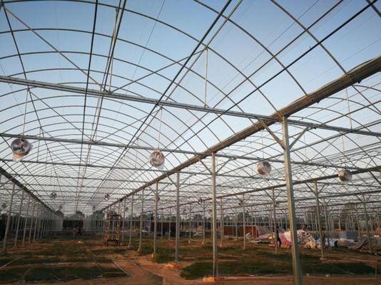 4.0-8.0M Höhe Landwirtschaft Mehrspannung Kunststofffolie Gewächshaus für Tomaten Schlüsselfertig Projekt