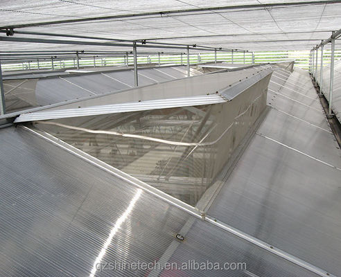 Stabiles und großes Gewächshaus Landwirtschaft Polycarbonat mit galvanisiertem Stahlrahmen