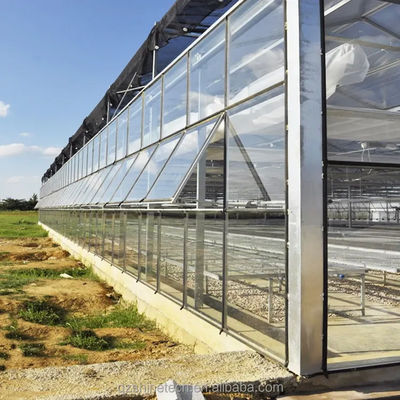 Große Venlo-Glasgewächshäuser Ideallösung für den Gemüseanbau Schlüsselfertiges Projekt