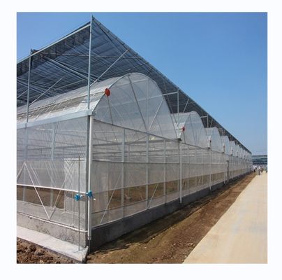 Filmbedeckungsmaterial Landwirtschaft Mehrspannung Gewächshaus mit galvanisiertem Stahlrohr
