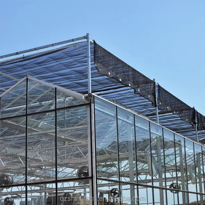 Große Venlo-Glasgewächshäuser Ideallösung für den Gemüseanbau Schlüsselfertiges Projekt