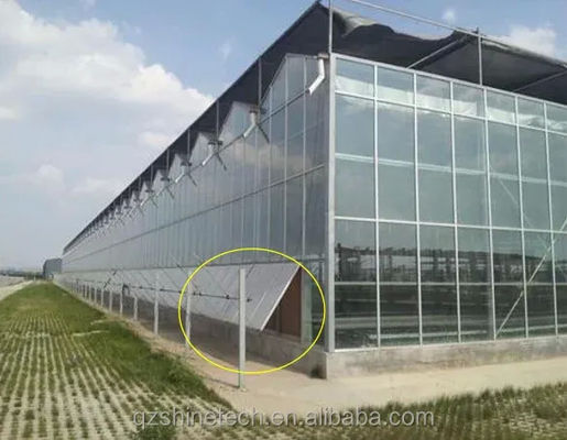 Große Venlo-Glasgewächshäuser Ideallösung für den Gemüseanbau Schlüsselfertiges Projekt