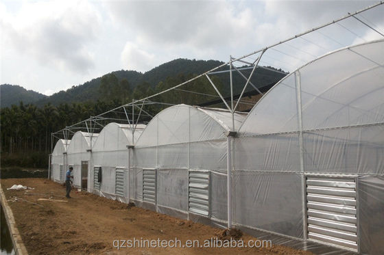 Filmbedeckungsmaterial Landwirtschaft Mehrspannung Gewächshaus mit galvanisiertem Stahlrohr
