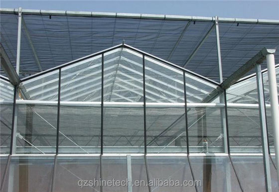 Große Venlo-Glasgewächshäuser Ideallösung für den Gemüseanbau Schlüsselfertiges Projekt