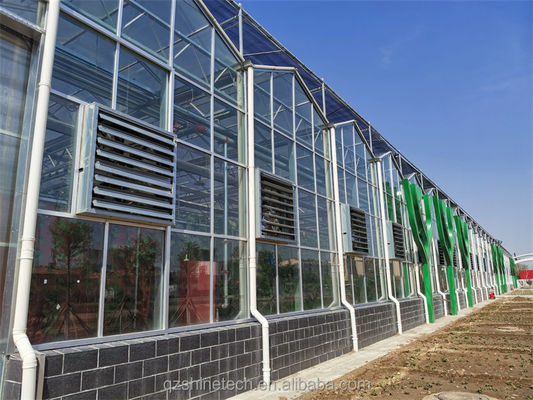 Große Venlo-Glasgewächshäuser Ideallösung für den Gemüseanbau Schlüsselfertiges Projekt