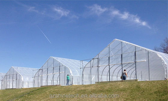 6-10m Breite Galvanisierter Stahlrahmen Einfachspannung PE-Film Gewächshaus für Tomaten