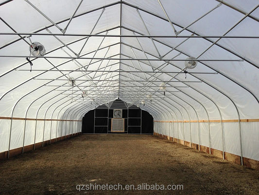 6-10m Breite Galvanisierter Stahlrahmen Einfachspannung PE-Film Gewächshaus für Tomaten