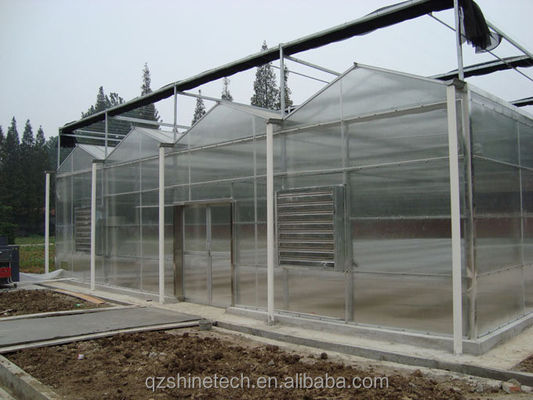 Gewerbliches landwirtschaftliches Gewächshaus mit Hydroponisches System und 8 mm PC-Blattbeschichtung