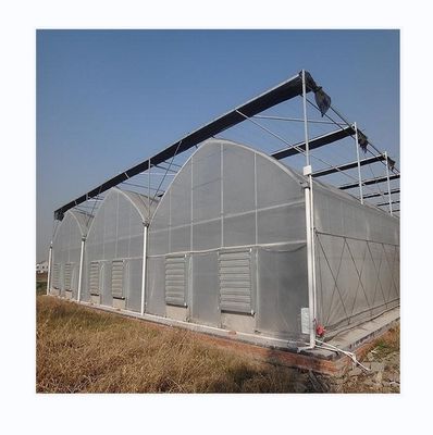 Einfach zu montieren Tomaten Landwirtschafts-Kit Rahmen Gewächshaus mit super starken Widerstand