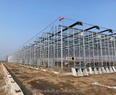 Großes landwirtschaftliches Gewächshaus mit galvanisiertem Stahlrahmen und optionalem Kühlsystem