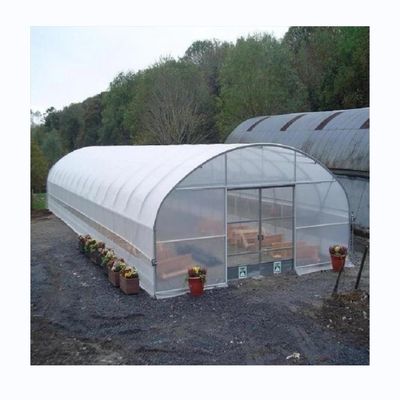 Hot Dip Galvanized Steel Tube Frame Gewächshausfilm für die Landwirtschaft in 10-100m Länge