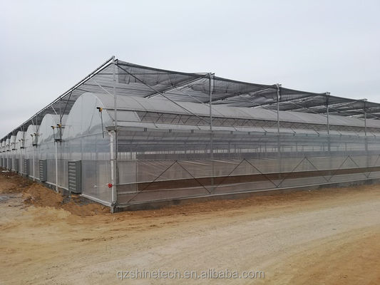 Einfach zu montieren Tomaten Landwirtschafts-Kit Rahmen Gewächshaus mit super starken Widerstand