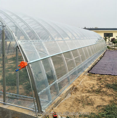 Hot Dip Galvanized Steel Tube Frame Gewächshausfilm für die Landwirtschaft in 10-100m Länge