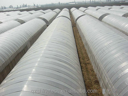 Hot Dip Galvanized Steel Tube Frame Gewächshausfilm für die Landwirtschaft in 10-100m Länge