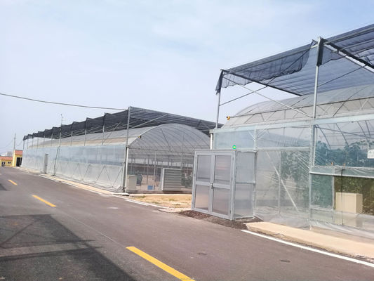 Einfach zu montieren Tomaten Landwirtschafts-Kit Rahmen Gewächshaus mit super starken Widerstand