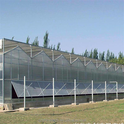 Stärker Widerstand Mehrspannung Venlo PC-Blatt Gewächshaus Bogen Polycarbonat Gewächshaus