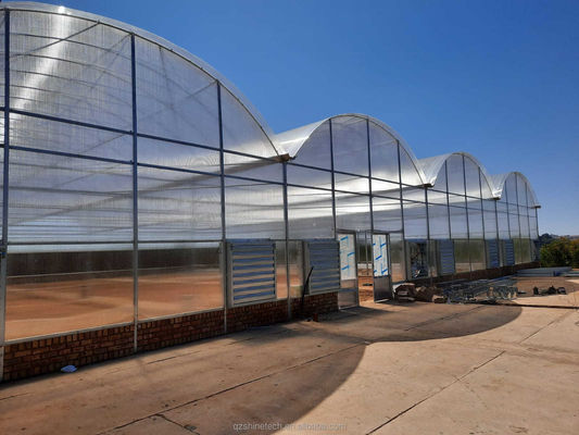 Stärker Widerstand Mehrspannung Venlo PC-Blatt Gewächshaus Bogen Polycarbonat Gewächshaus