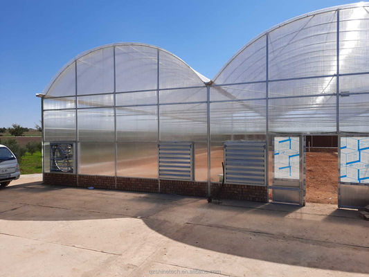 Stärker Widerstand Mehrspannung Venlo PC-Blatt Gewächshaus Bogen Polycarbonat Gewächshaus