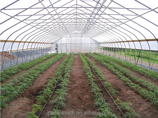 Kleines Hochkanal-Film-Gewächshaus für den Tomatenanbau Breite 6-10 m