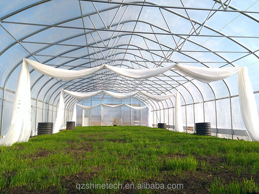 Kleines Hochkanal-Film-Gewächshaus für den Tomatenanbau Breite 6-10 m