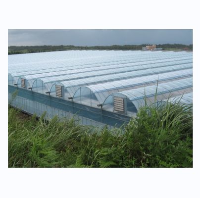 Industrielles hydroponisches Gewächshaus mit Superstarker Widerstandsfähigkeit