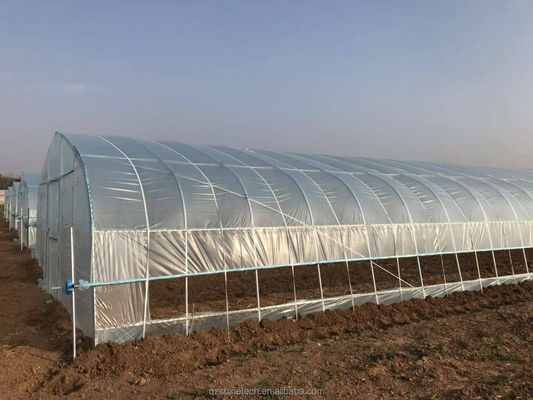 Kleines Hochkanal-Film-Gewächshaus für den Tomatenanbau Breite 6-10 m