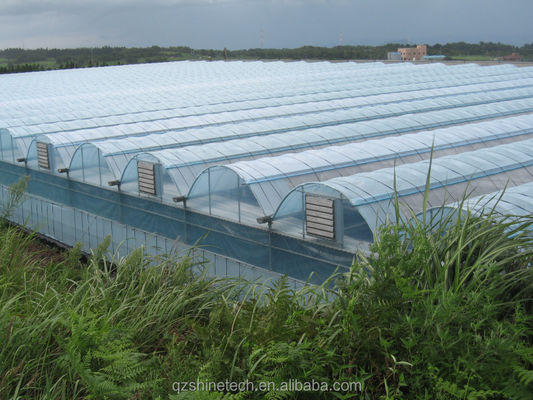 Industrielles hydroponisches Gewächshaus mit Superstarker Widerstandsfähigkeit