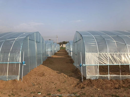 Kleines Hochkanal-Film-Gewächshaus für den Tomatenanbau Breite 6-10 m